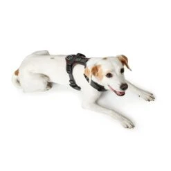 Hunter Geschirr Maldon Braun -Deutschland Wuff Spielzeug Verkaufs-Shop hunter geschirr maldon braun 4