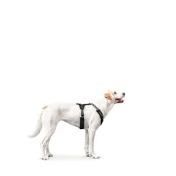 Hunter Geschirr Maldon Grau -Deutschland Wuff Spielzeug Verkaufs-Shop hunter geschirr maldon grau 4