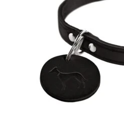Hunter Halsband Aalborg Schwarz -Deutschland Wuff Spielzeug Verkaufs-Shop hunter halsband aalborg schwarz 3