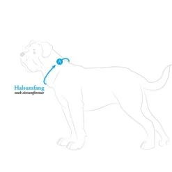 Hunter Halsband Aalborg Schwarz -Deutschland Wuff Spielzeug Verkaufs-Shop hunter halsumfang608ac54b30b73