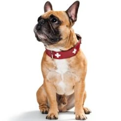 Hunter Swiss Halsband Rot/schwarz -Deutschland Wuff Spielzeug Verkaufs-Shop hunter swiss halsband rot schwarz 2