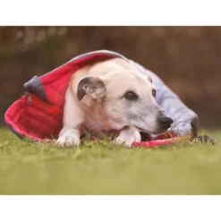 IEnergy JUL Schlafsack Für Hunde -Deutschland Wuff Spielzeug Verkaufs-Shop ienergy schlafsack jul 5