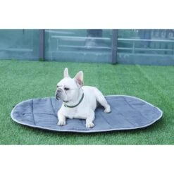 IEnergy BUR Hundematte -Deutschland Wuff Spielzeug Verkaufs-Shop ienery hundematte bur 2