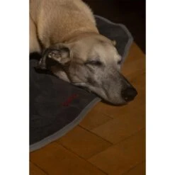 IEnergy BUR Hundematte -Deutschland Wuff Spielzeug Verkaufs-Shop ienery hundematte bur 6