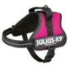 Julius K9 Julius-K9 Powergeschirr Fuchsia -Deutschland Wuff Spielzeug Verkaufs-Shop julius k9 idc geschirr fuchsial groesse mini mini s