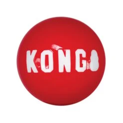 KONG Signature Balls 2 Stück -Deutschland Wuff Spielzeug Verkaufs-Shop kong signature balls m 39N7EmaQhIBcsn