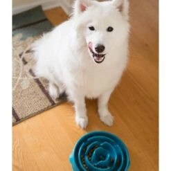 Outward Hound Fun Feeder Slo Bowl Anti Schling Drop Turquoise -Deutschland Wuff Spielzeug Verkaufs-Shop outward hound fun feeder slo bowl drop turkquoise large web 8