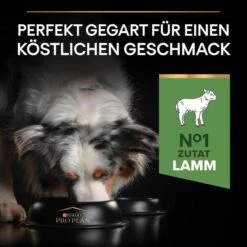 PRO PLAN Medium Adult Sensitive Digestion Lamm -Deutschland Wuff Spielzeug Verkaufs-Shop pro plan medium adult sensitive digestion lamm 4