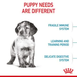 ROYAL CANIN MEDIUM Puppy Trockenfutter Für Welpen Mittelgroßer Hunderassen -Deutschland Wuff Spielzeug Verkaufs-Shop royal canin medium puppy fur welpen mittelgrosser hunderassen 4