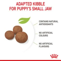 ROYAL CANIN MEDIUM Puppy Trockenfutter Für Welpen Mittelgroßer Hunderassen -Deutschland Wuff Spielzeug Verkaufs-Shop royal canin medium puppy fur welpen mittelgrosser hunderassen 6