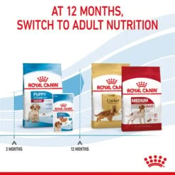 ROYAL CANIN MEDIUM Puppy Trockenfutter Für Welpen Mittelgroßer Hunderassen -Deutschland Wuff Spielzeug Verkaufs-Shop royal canin medium puppy fur welpen mittelgrosser hunderassen 7