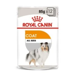 ROYAL CANIN COAT CARE Nassfutter Für Glänzendes Fell 12x85g -Deutschland Wuff Spielzeug Verkaufs-Shop royal canin coat care all sizes web