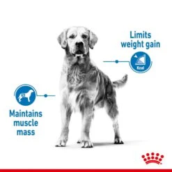 ROYAL CANIN LIGHT WEIGHT CARE MEDIUM Trockenfutter Für Zu Übergewicht Neigenden Hunden -Deutschland Wuff Spielzeug Verkaufs-Shop royalcanin lightweightcare medium 3