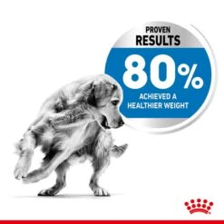ROYAL CANIN LIGHT WEIGHT CARE MEDIUM Trockenfutter Für Zu Übergewicht Neigenden Hunden -Deutschland Wuff Spielzeug Verkaufs-Shop royalcanin lightweightcare medium 4