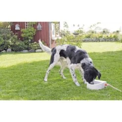 Trixie Automatische Outdoor-Tränke 1,5 L -Deutschland Wuff Spielzeug Verkaufs-Shop trixie automatische outdoor tranke 1 5l 4