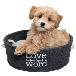 Trixie Filzschlafplatz Lian In Grau 10 Trixie Filzschlafplatz Lian In Grau -Deutschland Wuff Spielzeug Verkaufs-Shop trixie bett lian 2