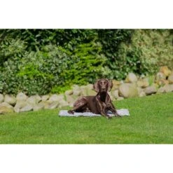 Trixie Kühlmatte Soft L 65x50cm -Deutschland Wuff Spielzeug Verkaufs-Shop trixie kuehlmatte soft 3SMDyEpKuWUz4W