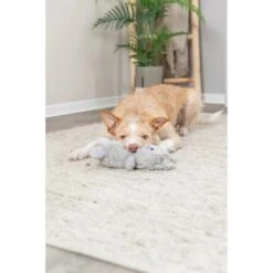 Trixie Plüsch Monster 32 Cm 7 Trixie Plüsch Monster 32 Cm -Deutschland Wuff Spielzeug Verkaufs-Shop trixie monster mit tau 3