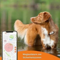 Weenect XS GPS Tracker Für Hunde Weiß -Deutschland Wuff Spielzeug Verkaufs-Shop weenect xs gps tracker fur hunde weiss 9