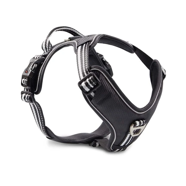 Wolters Geschirr Active Pro Schwarz 3 Wolters Geschirr Active Pro Schwarz