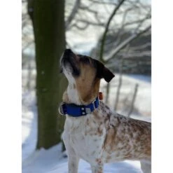 WowWow Professional Halsband Rot -Deutschland Wuff Spielzeug Verkaufs-Shop wowwow halsband alle 26091513687183