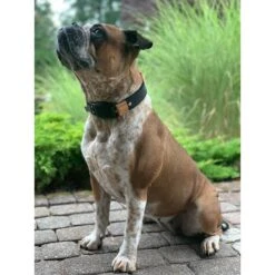 WowWow Professional Halsband Blau -Deutschland Wuff Spielzeug Verkaufs-Shop wowwow halsband alle 3