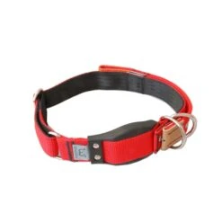 WowWow Professional Halsband Rot -Deutschland Wuff Spielzeug Verkaufs-Shop wowwow halsband rot