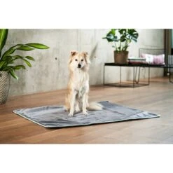 ZooRoyal Kuscheldecke Levi Anthrazit 120 X 100 Cm -Deutschland Wuff Spielzeug Verkaufs-Shop zooroyal decke levi anthrazit 120 x 100 cm 15e2056cb73d3f