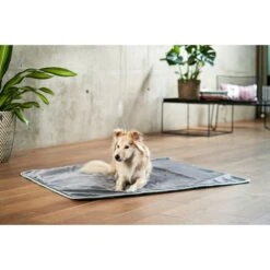 ZooRoyal Kuscheldecke Levi Anthrazit 120 X 100 Cm -Deutschland Wuff Spielzeug Verkaufs-Shop zooroyal decke levi anthrazit 120 x 100 cm 25e2056cc58938