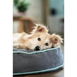 ZooRoyal Hundekissen Elias Anthrazit 32 ZooRoyal Hundekissen Elias Anthrazit -Deutschland Wuff Spielzeug Verkaufs-Shop zooroyal hundekissen elias anthrazit 4