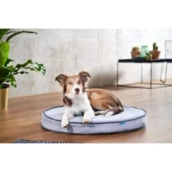 ZooRoyal Orthopädisches Hundekissen Elias Rund Grau -Deutschland Wuff Spielzeug Verkaufs-Shop zooroyal hundekissen elias rund grau 4