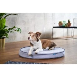 ZooRoyal Orthopädisches Hundekissen Elias Rund Grau -Deutschland Wuff Spielzeug Verkaufs-Shop zooroyal hundekissen elias rund grau 5