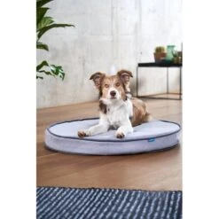 ZooRoyal Orthopädisches Hundekissen Elias Rund Grau -Deutschland Wuff Spielzeug Verkaufs-Shop zooroyal hundekissen elias rund grau 6