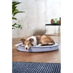 ZooRoyal Orthopädisches Hundekissen Elias Rund Grau -Deutschland Wuff Spielzeug Verkaufs-Shop zooroyal hundekissen elias rund grau 7