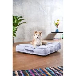 ZooRoyal Hundekissen Max Grau 18 ZooRoyal Hundekissen Max Grau -Deutschland Wuff Spielzeug Verkaufs-Shop zooroyal hundekissen max grau 5