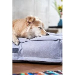 ZooRoyal Hundekissen Max Grau 21 ZooRoyal Hundekissen Max Grau -Deutschland Wuff Spielzeug Verkaufs-Shop zooroyal hundekissen max grau 8