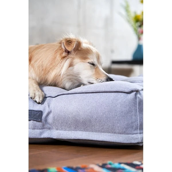 ZooRoyal Hundekissen Max Grau 10 ZooRoyal Hundekissen Max Grau – Bild 8