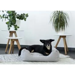 ZooRoyal In- & Outdoor Haustierbett Sam 61x48 Cm Grau -Deutschland Wuff Spielzeug Verkaufs-Shop zooroyal in und outdoor haustierbett sam 61x84cmbazHkLsIh5zYS