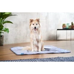 ZooRoyal Decke Levi Grau 120 X 100 Cm 18 ZooRoyal Decke Levi Grau 120 X 100 Cm -Deutschland Wuff Spielzeug Verkaufs-Shop zooroyal kuscheldecke levi grau 6