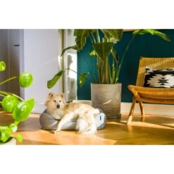 ZooRoyal Outdoorbett Noah -Deutschland Wuff Spielzeug Verkaufs-Shop zooroyal outdoorbett noah 6