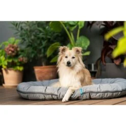 ZooRoyal Outdoorkissen Tamara 31 ZooRoyal Outdoorkissen Tamara -Deutschland Wuff Spielzeug Verkaufs-Shop zooroyal outdoorkissen tamara 10