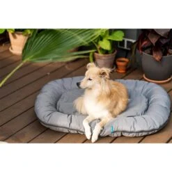 ZooRoyal Outdoorkissen Tamara 34 ZooRoyal Outdoorkissen Tamara -Deutschland Wuff Spielzeug Verkaufs-Shop zooroyal outdoorkissen tamara 13