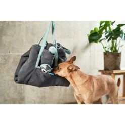 ZooRoyal Reisedecke Carl Anthrazit 120 X 85 Cm -Deutschland Wuff Spielzeug Verkaufs-Shop zooroyal reisedecke carl anthrazit 120 x 85 cm 25e2057298d78a