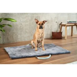 ZooRoyal Reisedecke Carl Anthrazit 120 X 85 Cm -Deutschland Wuff Spielzeug Verkaufs-Shop zooroyal reisedecke carl anthrazit 120 x 85 cm 55e20572c2e5e9