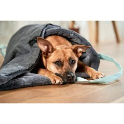 ZooRoyal Reisedecke Carl Anthrazit 120 X 85 Cm -Deutschland Wuff Spielzeug Verkaufs-Shop zooroyal reisedecke carl anthrazit 120 x 85 cm 65e20572d11fa2