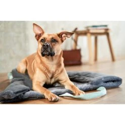 ZooRoyal Reisedecke Carl Anthrazit 120 X 85 Cm -Deutschland Wuff Spielzeug Verkaufs-Shop zooroyal reisedecke carl anthrazit 120 x 85 cm 7