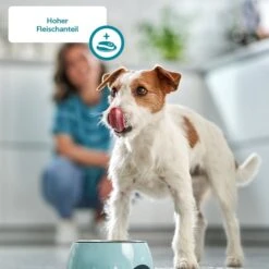 ZooRoyal Saftige Pastete Mit Kalb & Frischem Pansen -Deutschland Wuff Spielzeug Verkaufs-Shop zooroyal saftige pastete mit kalb und frischem pansen 175g 6