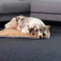 ZooRoyal Premium Haustier Kuscheldecke Luna 115x71 Cm -Deutschland Wuff Spielzeug Verkaufs-Shop zooroyal kuscheldecke luna braun web 3