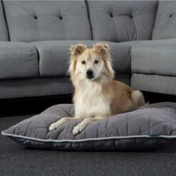 ZooRoyal Haustier Kuschelkissen Luna 75x60 Cm -Deutschland Wuff Spielzeug Verkaufs-Shop zooroyal kuschelkissen luna anthrazit web 3