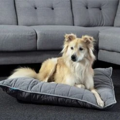 ZooRoyal Haustier Kuschelkissen Luna 75x60 Cm -Deutschland Wuff Spielzeug Verkaufs-Shop zooroyal kuschelkissen luna anthrazit web 4